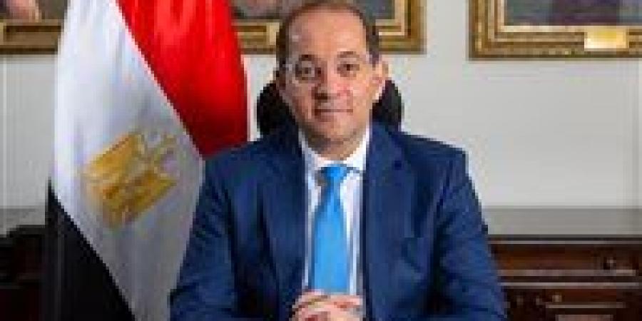 وزير المالية يعلن إطلاق أول «موبايل أبلكيشن» لخدمات الضرائب العقارية
