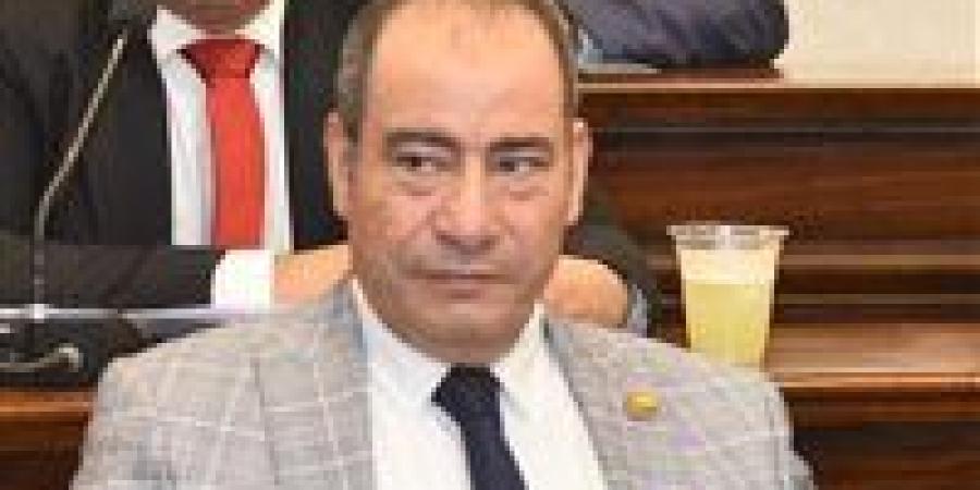 مجاهد نصار: لقاء السيسي ورئيسة المفوضية الأوروبية يعكس ثقل مصر الدولي ويفتح آفاقًا جديدة للشراكة الاقتصادية