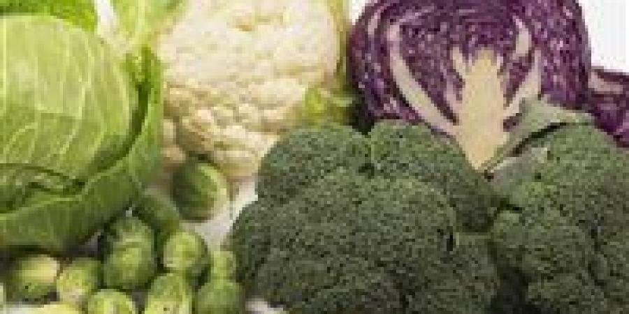 توصيات خبراء: أطعمة هامة تحارب سرطان القولون