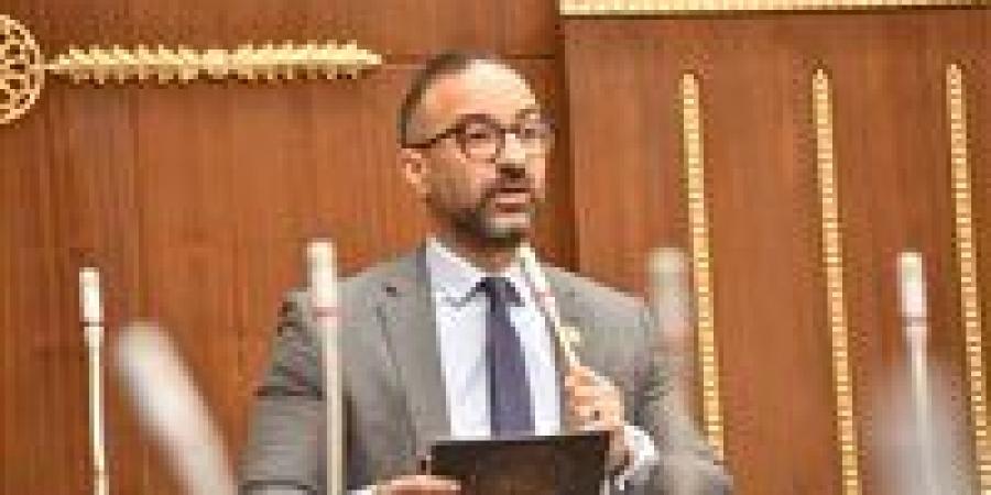 الحمامصي: نعتز بحاملي الماجستير والدكتوراه.. ولكن الشهادة ليست تذكرة عبور إلى الوظيفة الحكومية