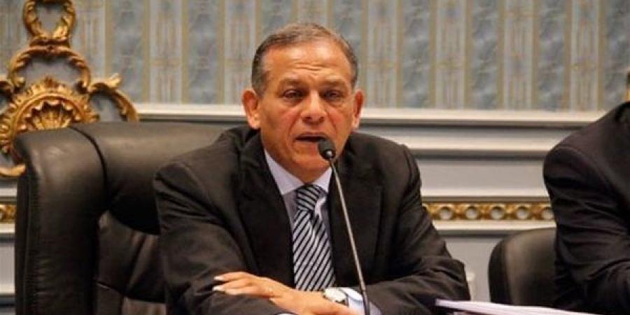 نائب رئيس القومي لحقوق الإنسان يطالب بتقاسم دولي عادل للمسئوليات تجاه اللاجئين