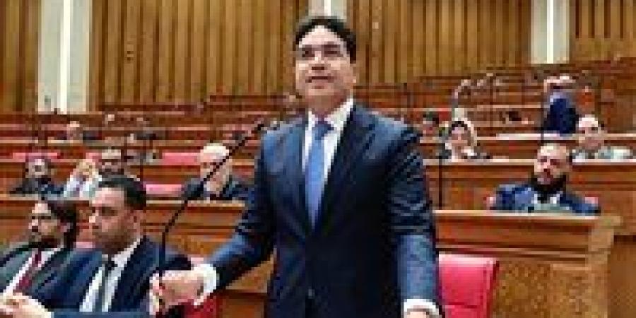 ضياء الدين داوود يحذر من التحول للدعم النقدي: المجتمع غير مهيأ والعيش مرتبط باستقرار المصريين