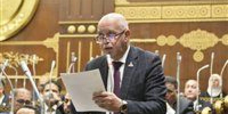 النائب حازم الجندى: مصر تقود جهودا مسؤولة لحماية وحدة السودان