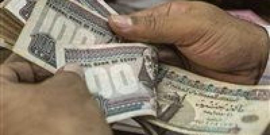 رواتب وتأمينات.. وزارة العمل تعلن عن 4504 وظيفة في 14 محافظة خلال يونيو