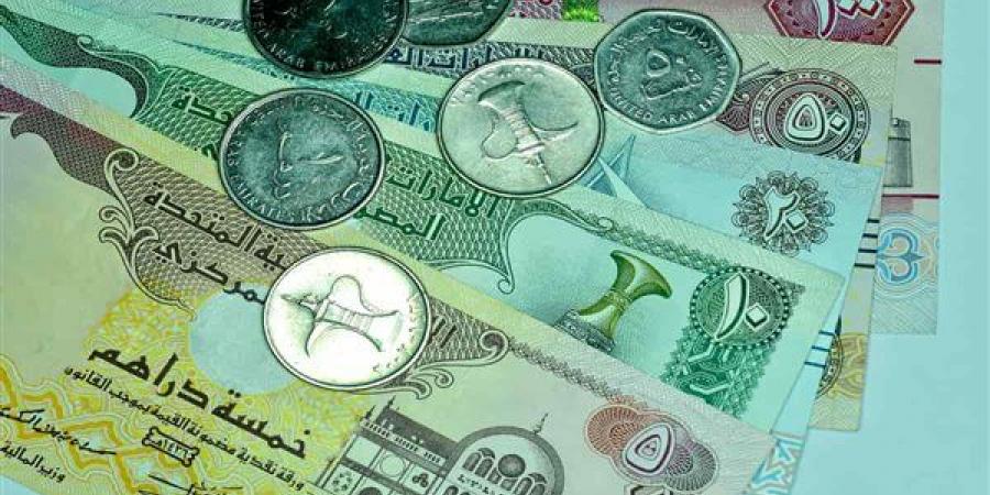 سعر الدرهم الإماراتي مقابل الجنيه في البنك المركزي