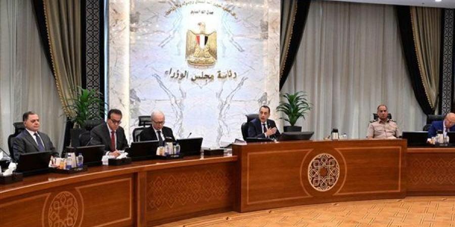 وزير التخطيط أمام مجلس الوزراء: الاقتصاد المصري حقق معدل نمو بلغ 5%