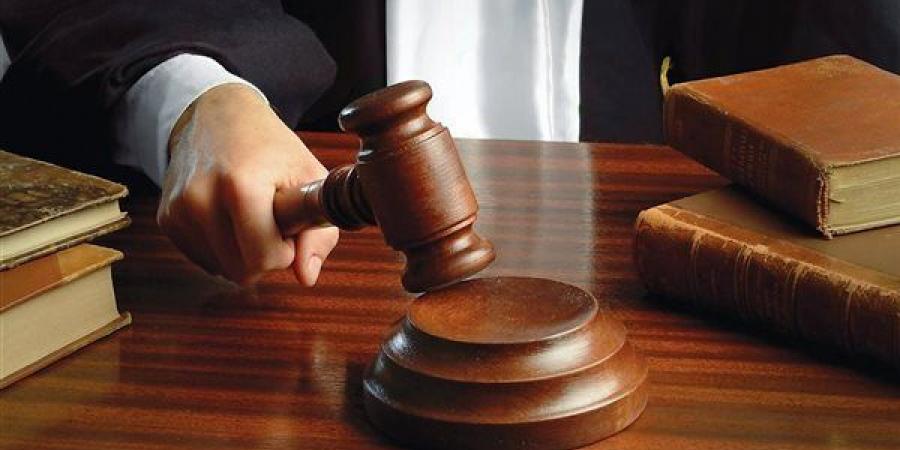تأجيل طعن انتخابات مجلس النواب بمركز المحلة الكبرى لاستكمال فرز الصناديق