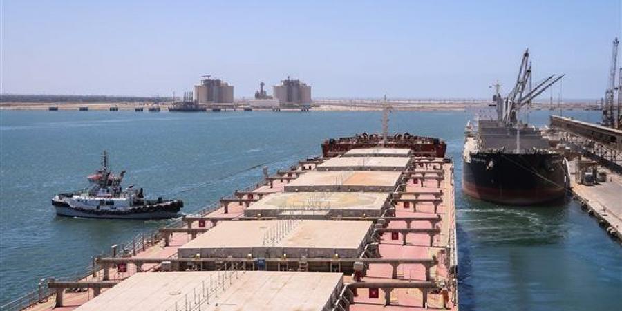 نشاط ملاحي مكثف، استيراد 15 ألف طن ذرة عبر ميناء دمياط