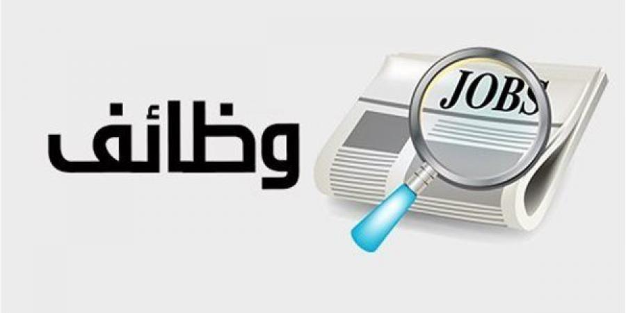 وظائف وزارة التنمية المحلية والبيئة، طريقة التقديم والشروط والمستندات المطلوبة