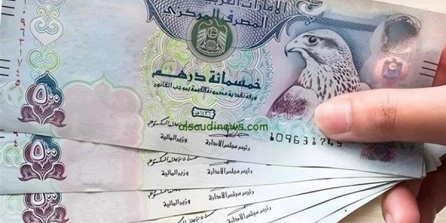 سعر الدرهم الإماراتي مقابل الجنيه في البنك المركزي المصري