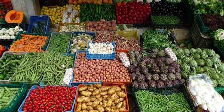 سعر الخضار اليوم، انخفاض الباذنجان واستقرار الطماطم وارتفاع الليمون البلدي 5 جنيهات