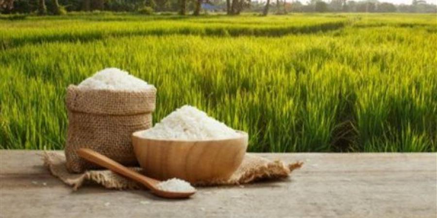 يبدأ من 15 جنيها، تعرف على أسعار الأرز اليوم الإثنين