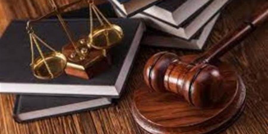 إجراءات إعادة التحقيق والمحاكمة عن بُعد وفقًا للقانون