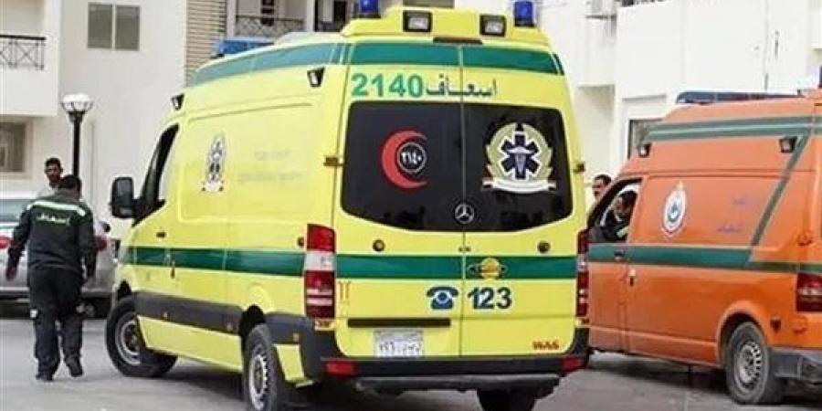 مصرع عامل دهسته "تريلا" بموقع إنشاءات مترو الأنفاق بميدان الجيزة