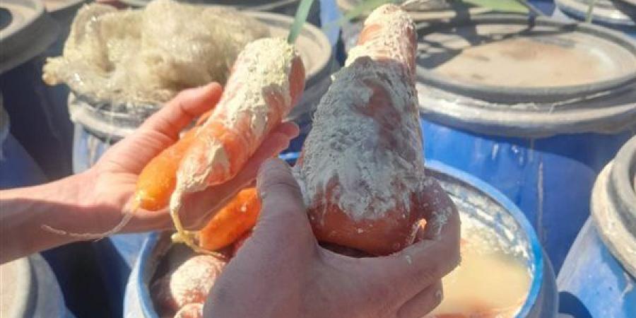 ضبط 12 طن أغذية فاسدة في البحيرة