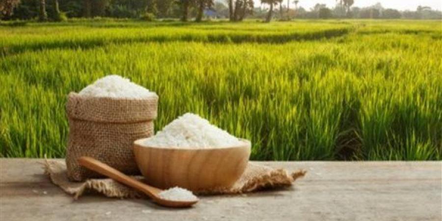 سعر الأرز في السوق اليوم الأحد