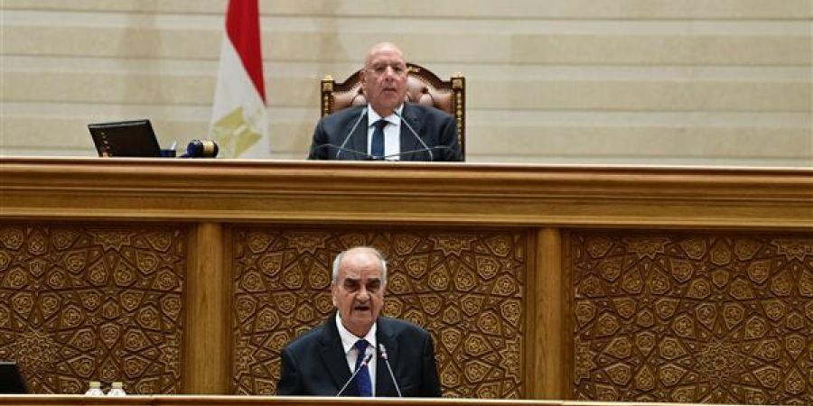 مطالبات برلمانية بتحصين "الأثر الرجعي" في قانون جهاز مستقبل مصر وتدشين مركز مالي عالمي