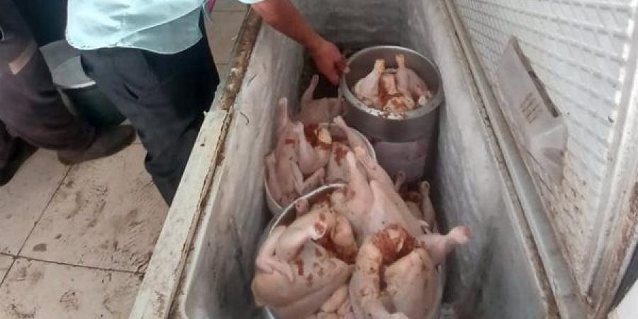 ضبط نصف طن لحوم فاسدة في حملات تموينية بالغربية