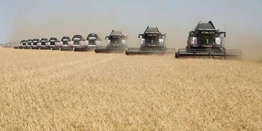 تراجع أسعار القمح مع مؤشرات ضعف الطلب