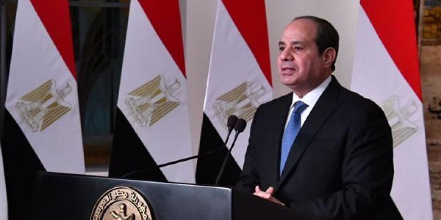 السيسي: ناقشت قضايا الشرق الأوسط والقرن الأفريقي والبحر الأحمر مع رئيسة تنزانيا