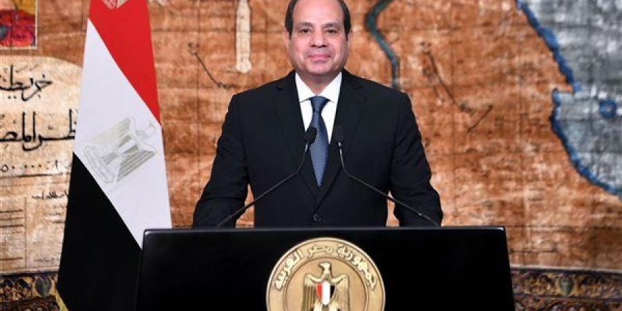 السيسي يعود إلى أرض الوطن عقب زيارة تنزانيا