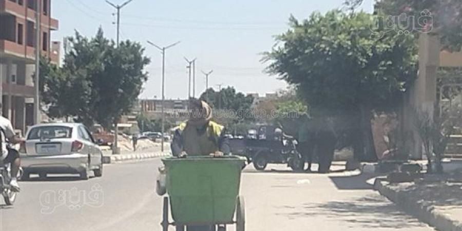 لقمة العيش الحلال، عمال النظافة بالإسماعيلية يعملون تحت درجة حرارة تتجاوز الـ40 (صور)