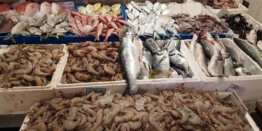 أسعار السمك اليوم، ارتفاع كبير في البوري والمكرونة وانخفاض 20 جنيها في قشر البياض