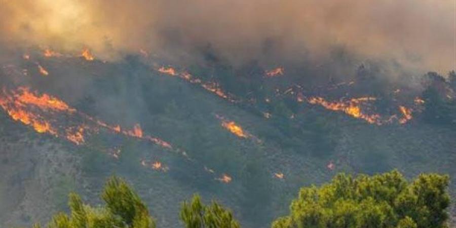 بعد اندلاعها في تونس والجزائر، أدعية نبوية مأثورة للتحصين من النار والحرائق
