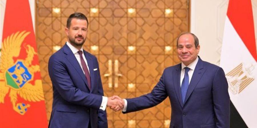 الرئاسة في أسبوع.. السيسي يؤكد لرئيسة تنزانيا أهمية تعزيز العلاقات الثنائية.. يبحث مع رئيس الجبل الأسود تطوير التعاون الاقتصادي.. ويؤكد لـ ميلوني ضرورة تكثيف الاستثمارات الإيطالية بالسوق المصري