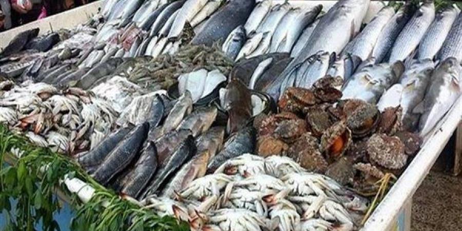 أسعار السمك اليوم، البلطي "رايح جاي" والجمبري الوسط يقفز إلى 525 جنيها