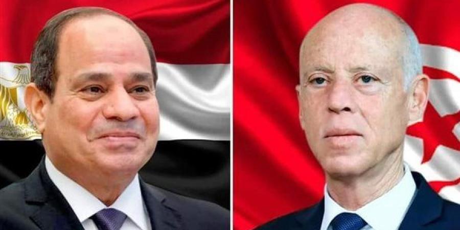 توافق مصري تونسي على تغليب الحلول السياسية وخفض التصعيد ومواجهة التحديات