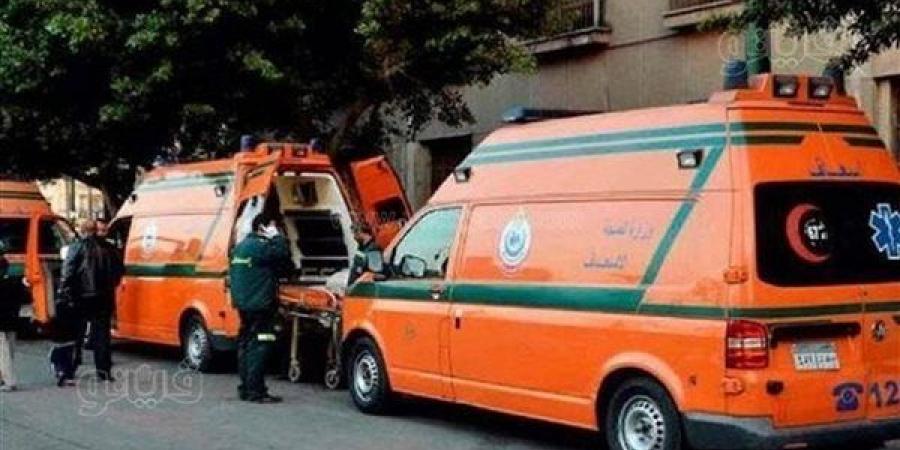 مصرع شخص وإصابة 5 آخرين في 6 حوادث متفرقة بالدقهلية