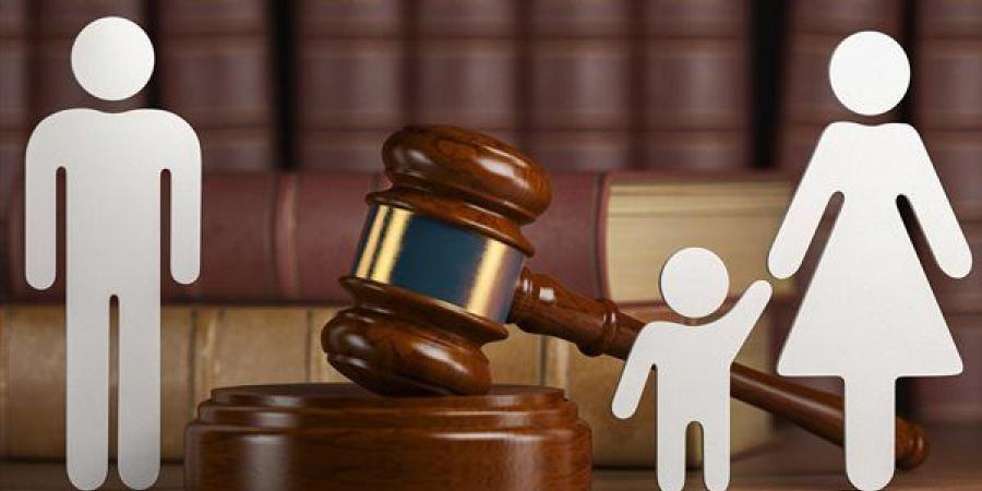 مصير مشروع قانون إنشاء الصندوق التكافلي لدعم الأسرة المصرية