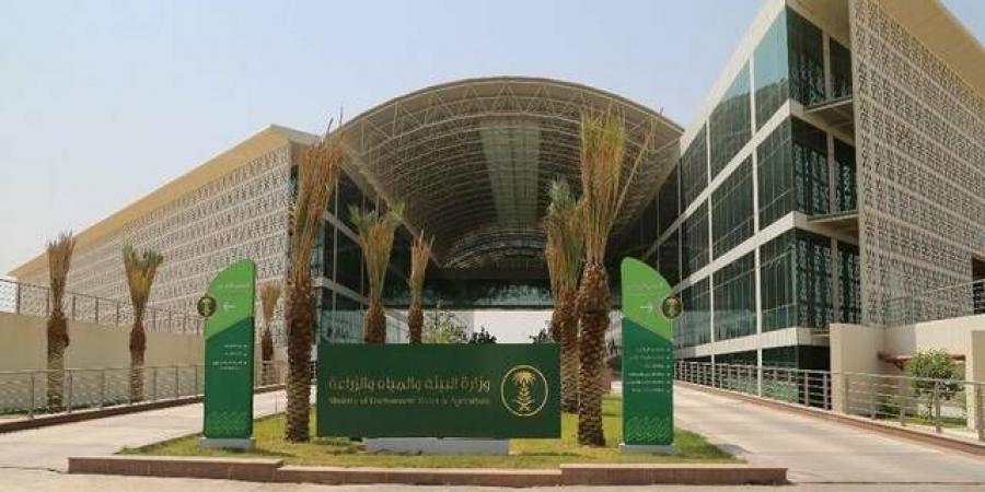 "بيئة القصيم" تطرح فرصة استثمارية لإنشاء منشأة تحويلية لمتبقيات النخيل