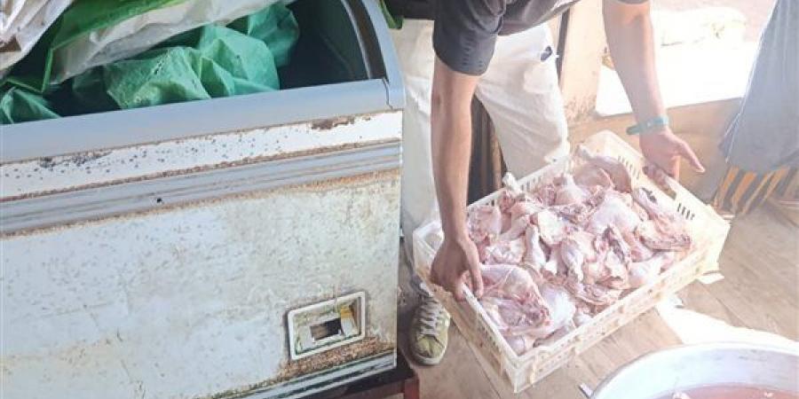 صحة القليوبية تُحبط تداول طن من أجزاء الدواجن مجهولة المصدر داخل مخزن غير مرخص