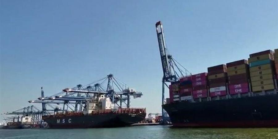 أبطال ميناء دمياط يروون ملحمة إنقاذ السفينتين، 4 دقائق فقط فاصلة للسيطرة على الحريق (فيديو)