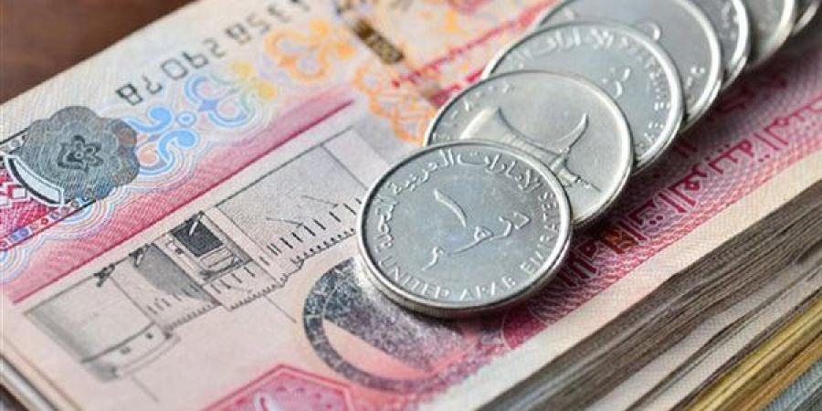 13.94 جنيها، سعر الدرهم الإماراتي في البنك المركزي اليوم السبت