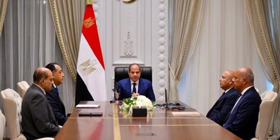 السيسي يوجه بالانتهاء من مشروعات تطوير الموانئ ووسائل النقل (فيديو)