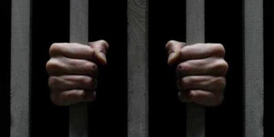 فحص هواتف سيدة متهمة بإدارة شركة وهمية لخداع راغبي العمل بالخارج