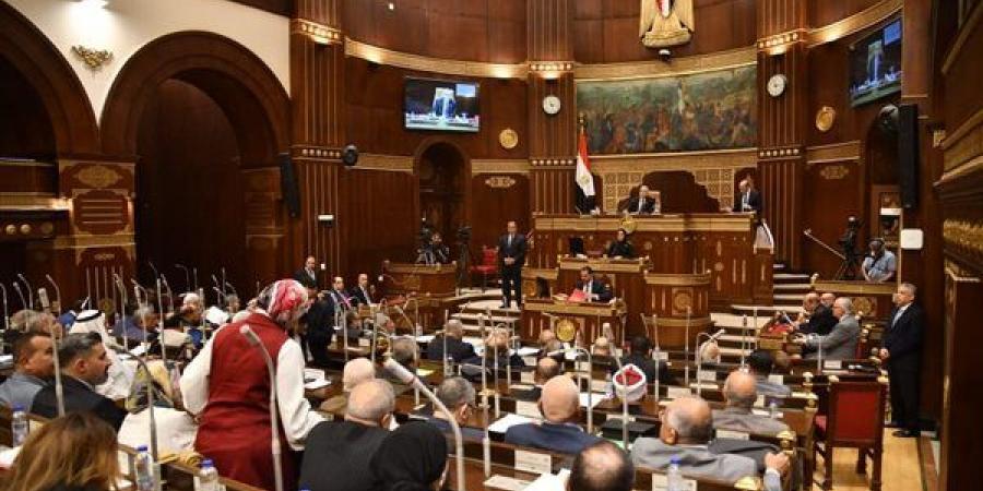 اقتراحات برلمانية لتقليل فاتورة الاستيراد الصناعي بتوطين الصناعات المغذية