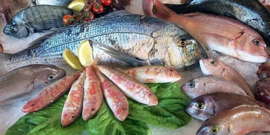 أسعار السمك اليوم، ارتفاع البلطي 3 جنيهات والجمبري الممتاز يزحف إلى الألف جنيه مجددا