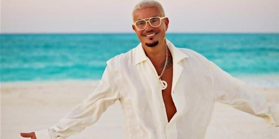 أخبار الفن اليوم: هيفاء وهبي تعود للتعاون مع رامي جمال بعد 17 عاما.. محمد رمضان يكشف تفاصيل مسلسله الجديد "عشماوي".. إقبال جماهيري علي حفل عمرو دياب بالساحل