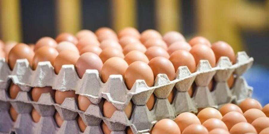أخبار الاقتصاد اليوم: البورصة تطلق موقعها الإلكتروني التجريبي، ارتفاع سعر صرف الدولار مقابل الجنيه، إحالة شركات المحمول إلى النيابة