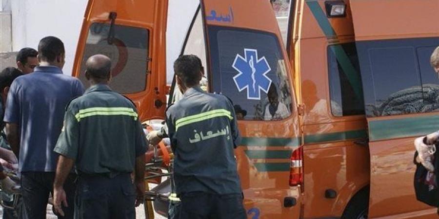 إصابة 9 عمال في انقلاب سيارة نقل بطريق أبو سمبل بأسوان