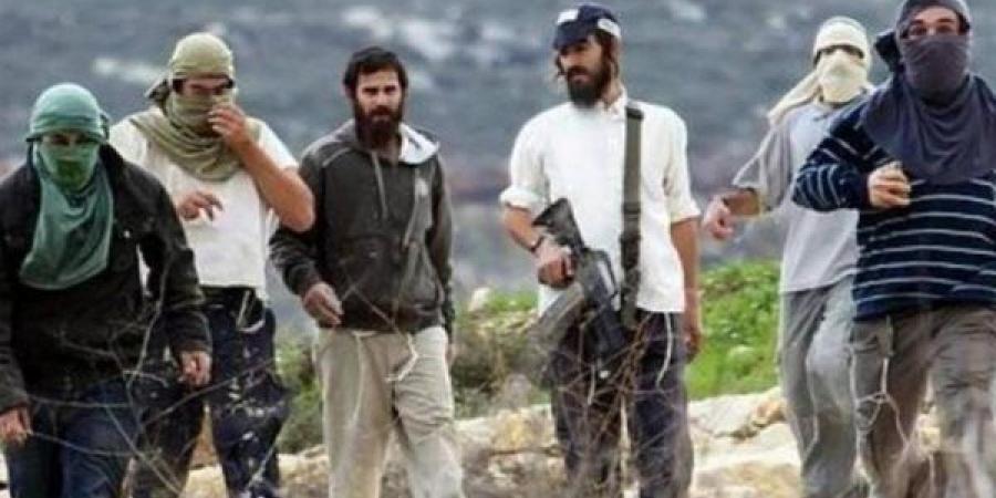 إعلام عبري: إصابة مستوطن في رأسه جراء رشقه بالحجارة قرب مستوطنة كريات 4 شرق الخليل