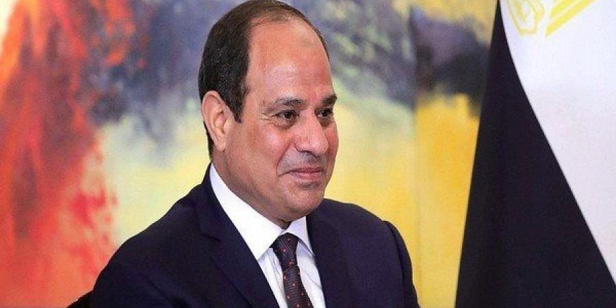 أزمات الشرق الأوسط وروسيا وأوكرانيا تتصدران مباحثات الرئيسين السيسي وزيلينسكي - النيل نيوز