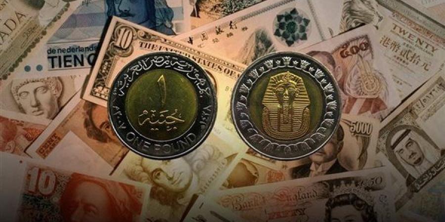 أسعار العملات العربية والأجنبية أمام الجنيه المصري في البنك المركزي بتعاملات نهاية الأسبوع - النيل نيوز