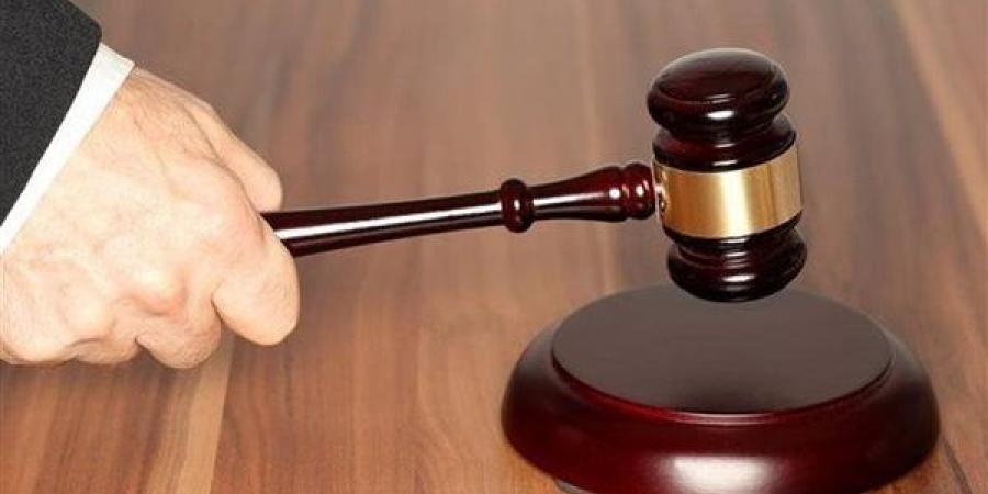 إحالة سيدة للمحاكمة بتهمة الجمع بين زوجين بالزقازيق (مستند) - النيل نيوز