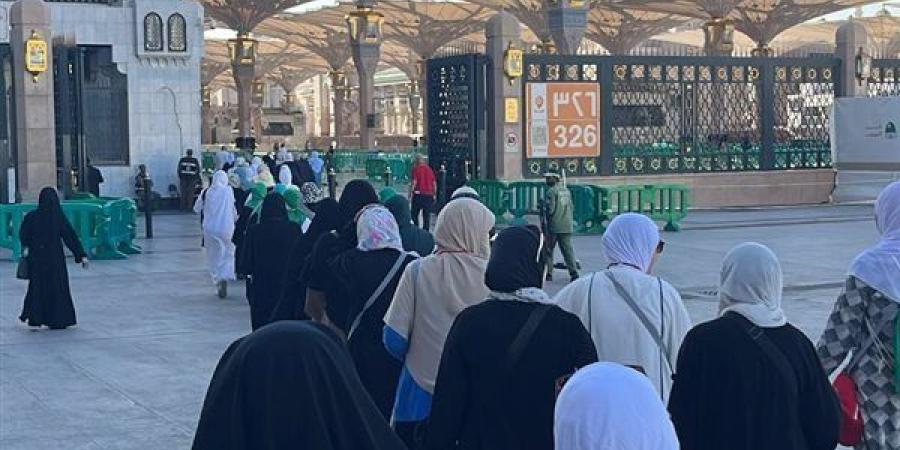 التضامن تفتح باب التقديم لحج الجمعيات الأهلية 2027، وهذه شروط التقديم والقبول - النيل نيوز