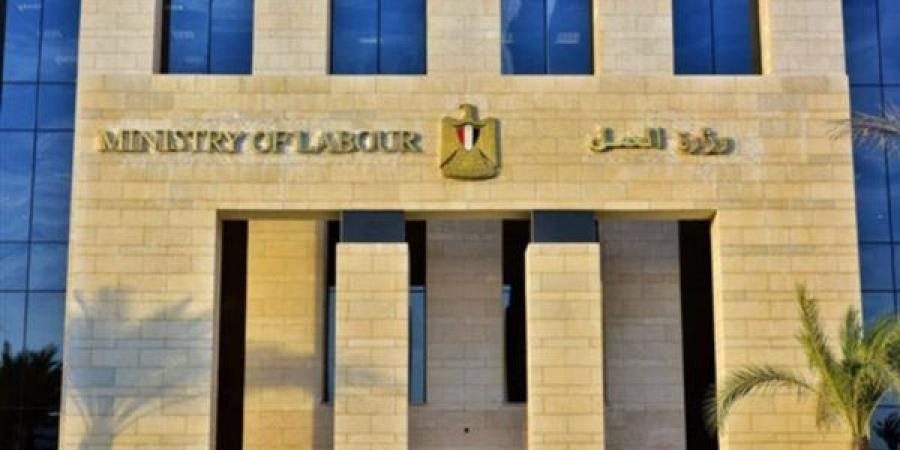 توفير 650 فرصة عمل في الغزل والنسيج، تعرف على الشروط والتخصصات - النيل نيوز